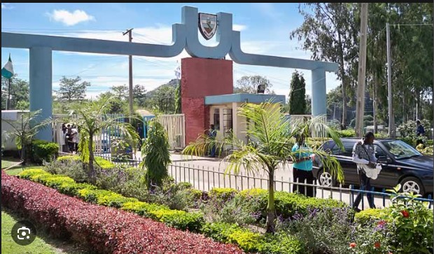 No federal university is allowed to charge tuition fees FG insists